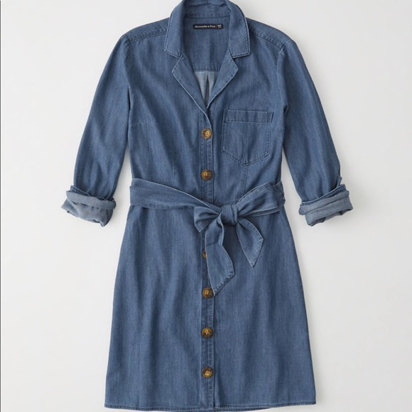Abercrombie and Fitch denim dress - Picture 1 of 4